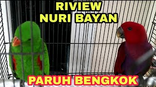 BAYAN LORDS REVIEW & PRICE