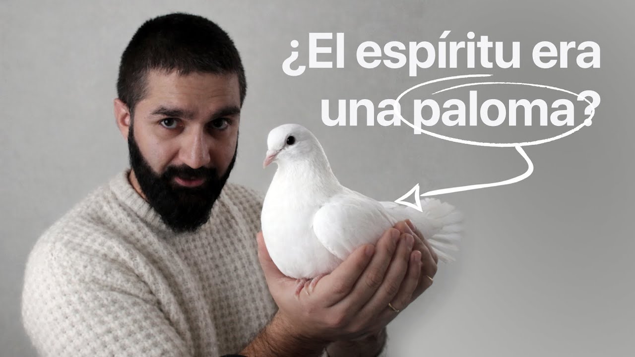El Espíritu Santo desciende... ¿como paloma? 🕊️