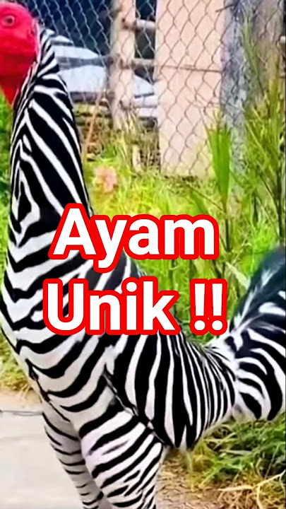 kuasa sang pencipta !!