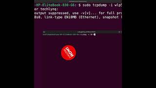 Capture Traffic for a TCP Port using TCPDump #shorts #tcpdump