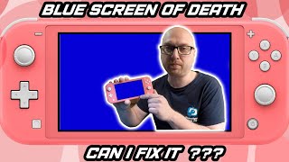 Nintendo Switch Lite Blue Screen of Death Repair