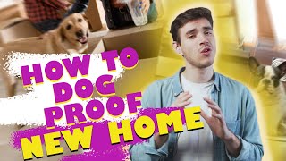 How to Dog Proof Your New Home After Move In - Moving Tips 2022