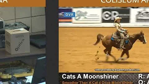 Judy Fortenberry - NRCHA