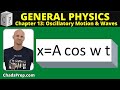 Understanding Simple Harmonic Motion