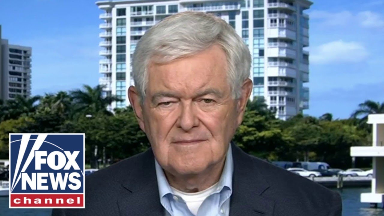 Newt Gingrich calls out liberal hypocrisy: ‘Soft’