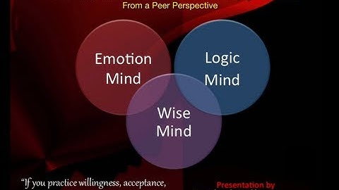 DBT Peer Connections - Episode 0 - Introduction to DBT Skills Training - by Rachel Gill