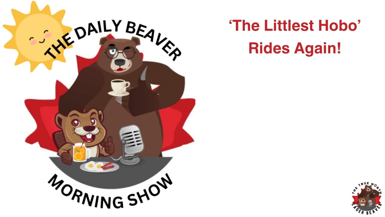 "The Littlest Hobo" Rides Again — The Daily Beaver Morning Show