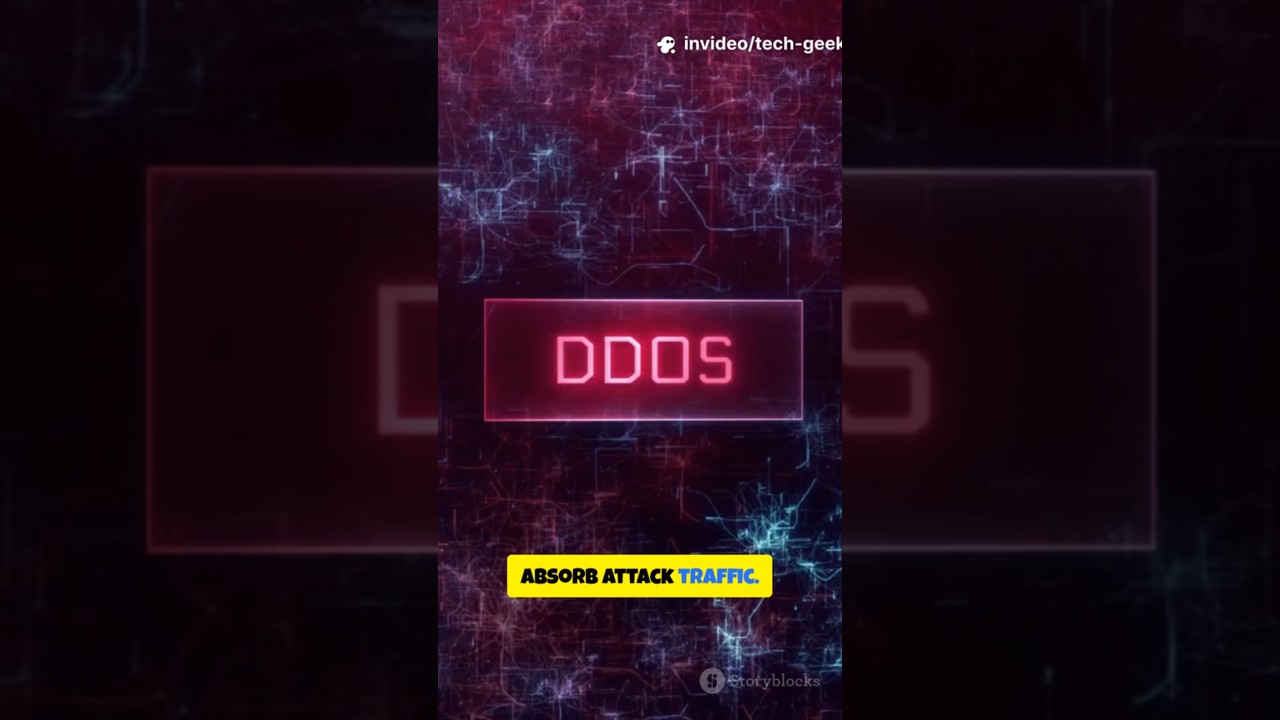 Day 29 | DOS/DDOS Attacks 