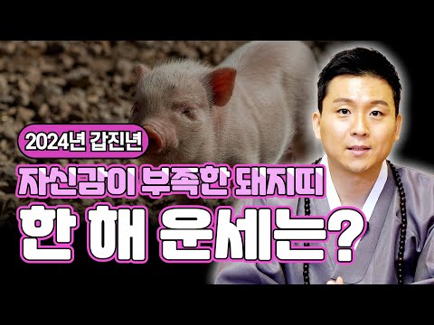 갑진년 돼지띠 신년운세.드디어 풀린다!금전운 자신감 끌어올려~~돼지띠사주 성격