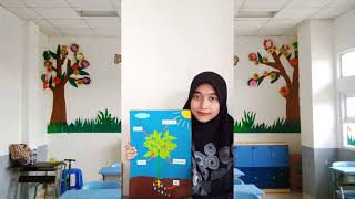 Video Microteaching - Proses Pembuatan Makanan Pada Tumbuhan Hijau (Fotosintesis)