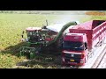Most Abundant Harvest! China&#39;s Modern Farming At Another Level