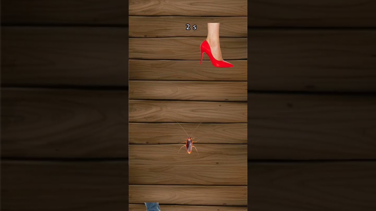 30 апреля 2025 г.