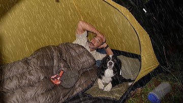 Camping In The Rain With Dog, Tent and Tarp