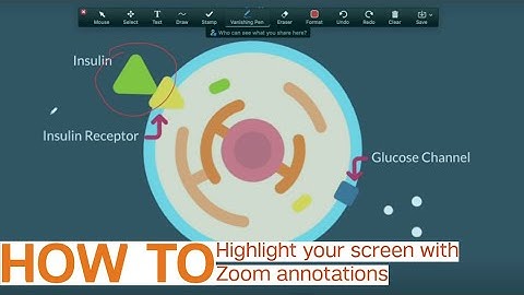 TipUp: Highlight Your Screen with Zoom Annotations