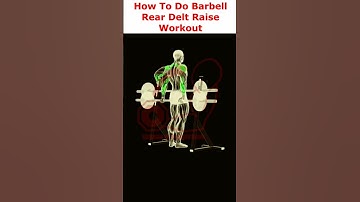 IS THIS TOO DIFFICULT? How To Do Barbell Rear Delts Raise Exercise