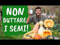 Raccogliere e conservare i SEMI di ZUCCA | Guida completa per seed savers