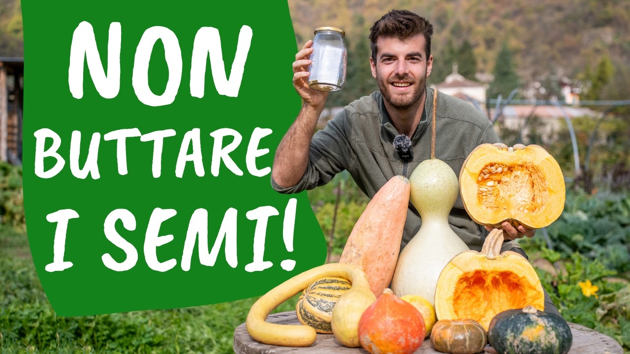Raccogliere e conservare i SEMI di ZUCCA | Guida completa per seed savers