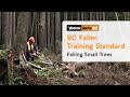 BC Faller Training Standard - Falling Small Trees (10 of 17)