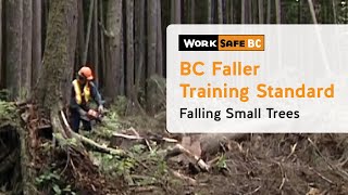 BC Faller Training Standard - Falling Small Trees (10 of 17)