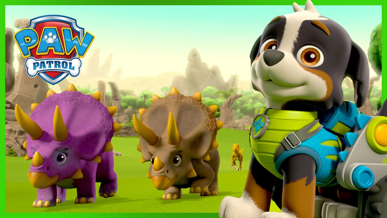 Leerling Voor u Zelfrespect Dino Rescue PAW Patrol Pups redden dinosaurussen en meer! - PAW Patrol  Nederlands - YouTube