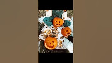 Fall bucket List: Pumpkin Season is Here!!