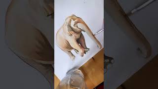 Full Watercolor elephant π #art #artist #elephant #watercolor #painting News