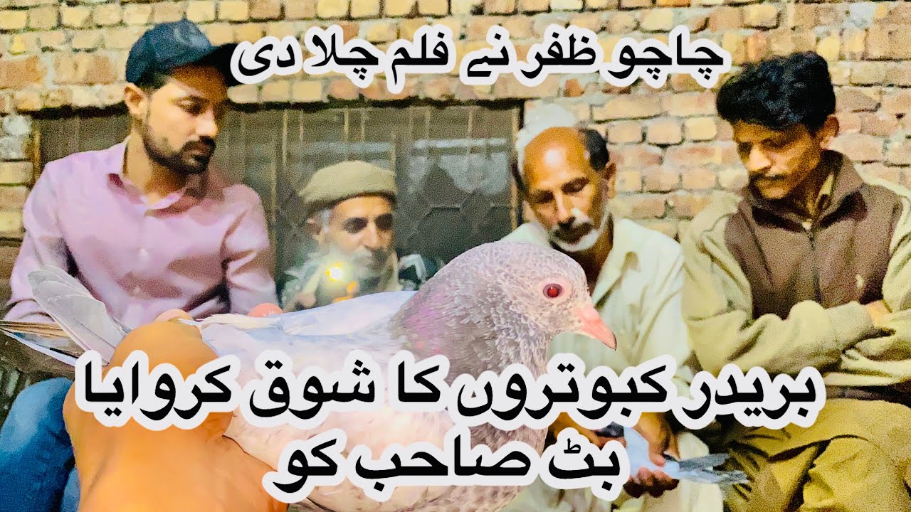 Chachu zafar or butt sab ko gift diye 🤩chachu zafar ne filam chala di ...