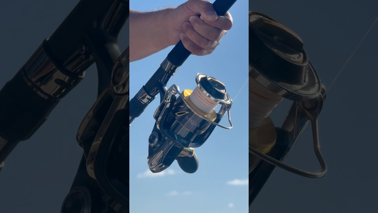 Рыба смотала всю шпулю! 