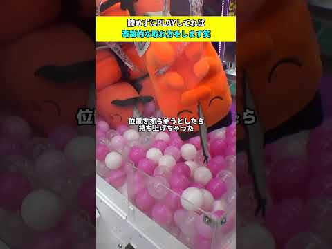 3本爪タグ刺しまとめ#クレーンゲーム