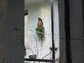 Tanaman hias dinding aviary #aviary #kicaumania #aviarymini