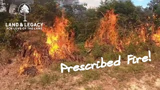 Prescribed Fire - Improving Habitat in the Summer Heat