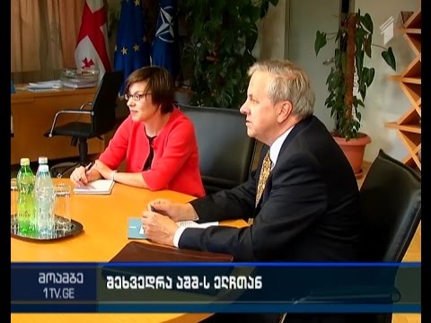 სახელმწიფო მინისტრ დავით ბაქრაძის შეხვედრა აშშ-ის ელჩ იან კელისთან