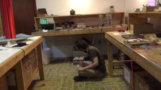Tesla coil test #2