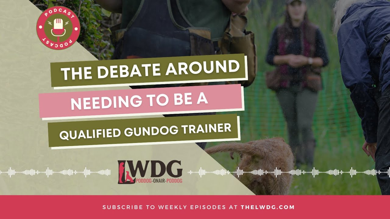 Episode 75 The Debate Around Needing To Be a Qualified Dog Trainer LWDG POD DOG YouTube