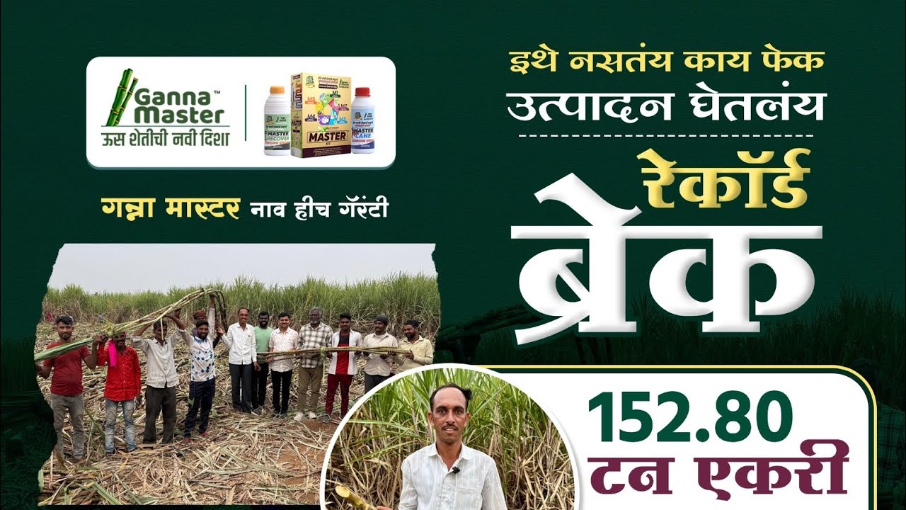गन्ना मास्टरच्या इतिहासातील रेकॉर्ड ब्रेक उत्पादन. एकरी 152.80 टन.