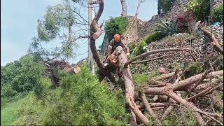 VID 20240614 WA0033