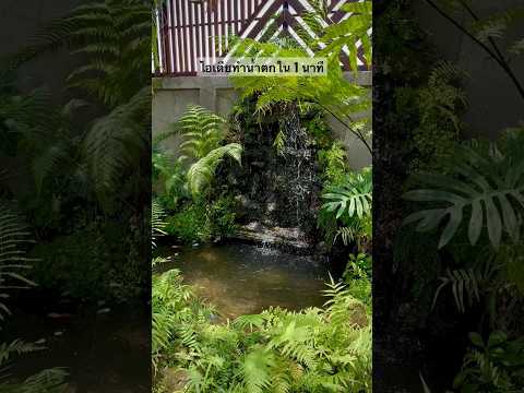 วีดีโอ: ทำบ่อน้ำตกแต่งสวนด้วยมือคุณเอง