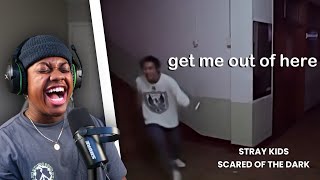 STRAY KIDS SCARED OF THE DARK! NEVER LAUGHED SO HARD!