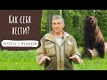 Что делать при встрече с медведем? Как себя вести в лесу.