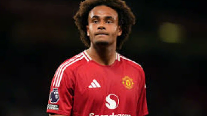 Zirkzee scores late winner on debut as Man Utd beat Fulham in opener