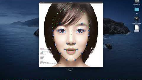 MILK Thin Plate Spline (TPS) Beautification Tool (2018)