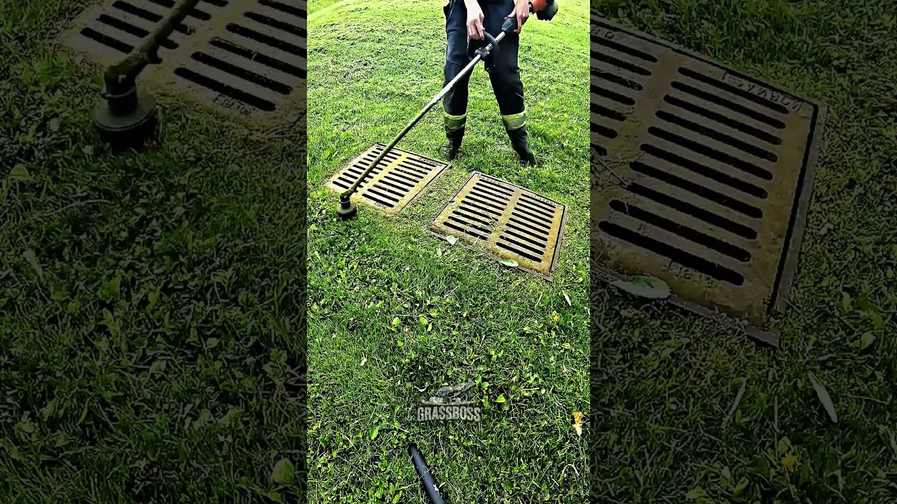 Crisp Sidewalk Lawn Borders and Sharp Grass Edge Transformation ✨ | 