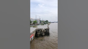 Chợ Nổi Cái Răng #catdoinoisau #chonoicairang #xuhuongyoutube #thinhhanh #travel #nature #bolero