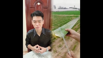 Thằng con báo đời của Bác Hai - Phần 2 #cậubảyquận3