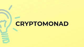 What is the meaning of the word CRYPTOMONAD