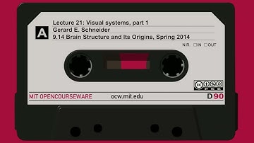 21. Visual systems, part 1