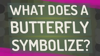 What does a butterfly symbolize? Butterfly Symbol Meaning Love