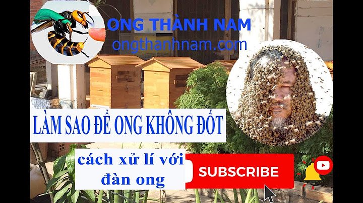 Làm thế nào để không bị ong đốt năm 2024