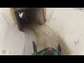 Quadna Mountain Park Regional GoPro Lap of the Day | AMSOIL Championship Snocross