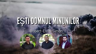 Robert ❌ Elvis ❌ Simon din Barbulesti - Esti Domnul minunilor